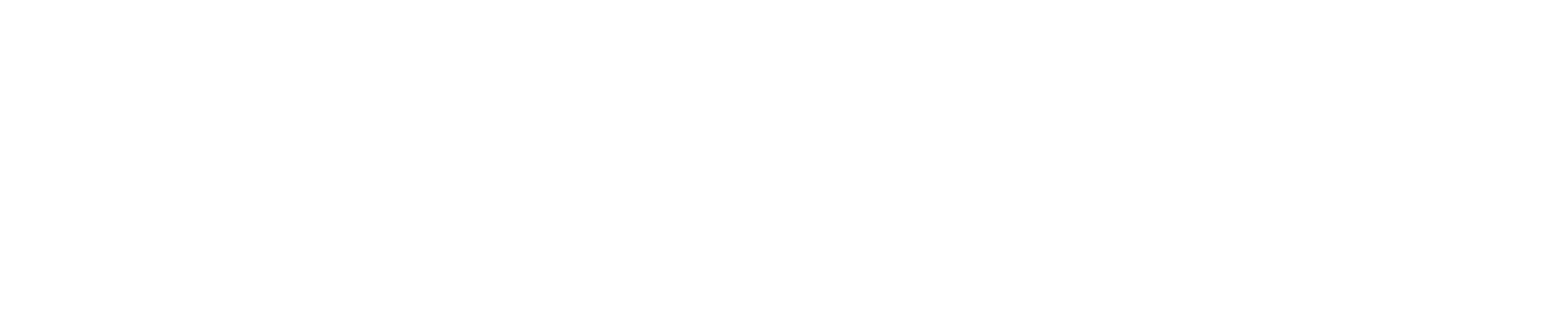 AsistPro Business